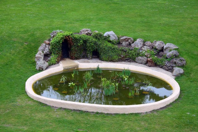 Oval shaped in-ground garden pond