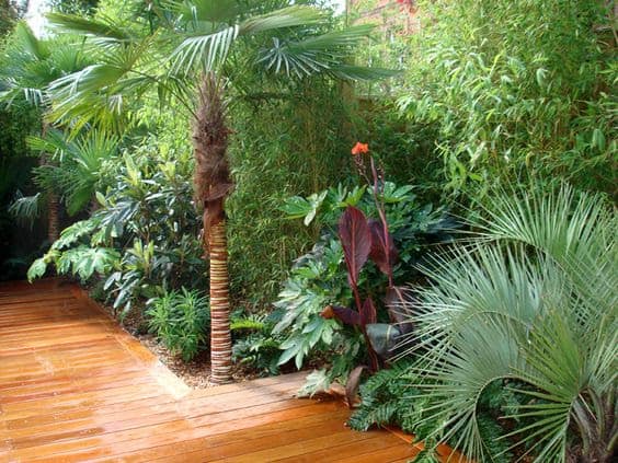 A garden wooden deck surrounded by leafy greens and luscious palm trees