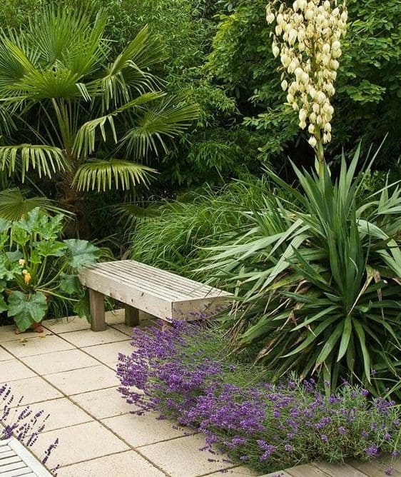 A bench amongst plants