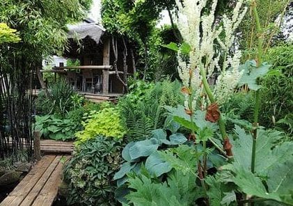 Exotic paradise garden with a jungle hut and wooden decking/bridge