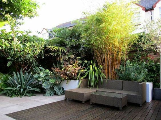 Small Tropical Garden Ideas Uk With, Tropical Garden Designs Uk