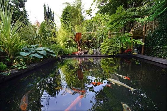 Fish lake and exotic garden