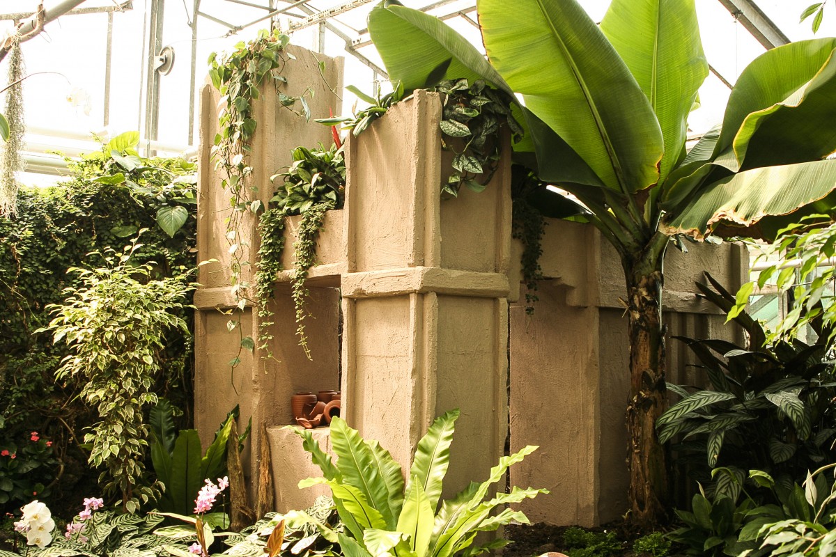 Jungle greenhouse
