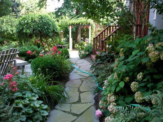 Rock garden path and colourful plants