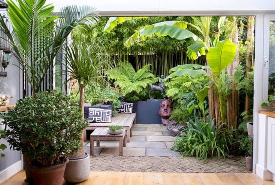 Tall tropical plants and trees used as screening, blocking out unsightly buildings and walls