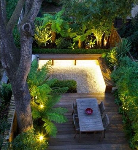 Small tropical garden with outdoor lighting accent