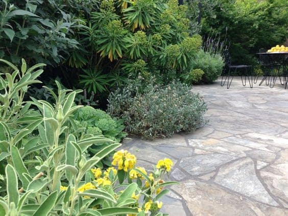 Stone flooring and tropical plants