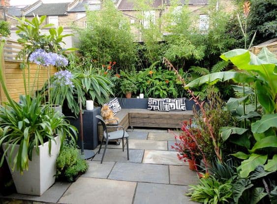 Tiny garden with tropical plants and an outdoor seating area