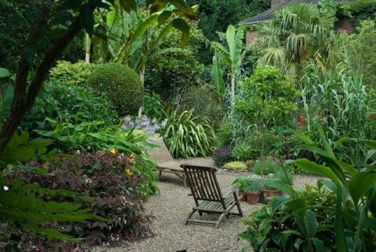 Exotic plants and wooden chairs