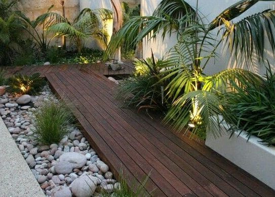Tropical plants and modern deck