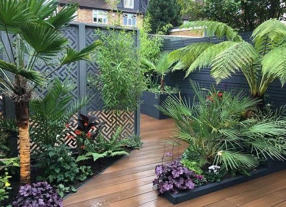 Simple wooden decking as a base for an exotic garden