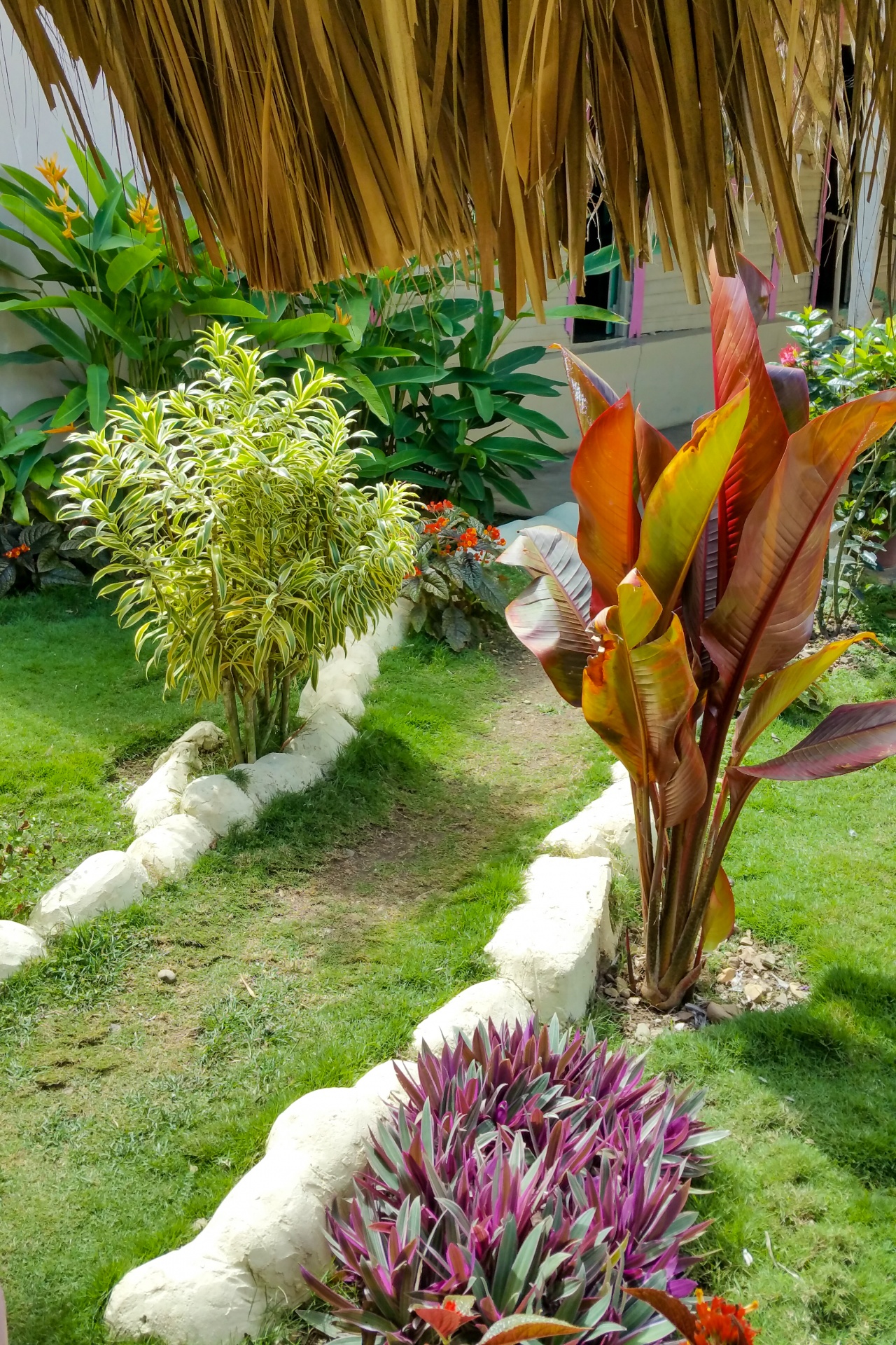Small tropical garden path with white stone edging