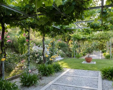 A pergola dripping with vines, with a raised decking enclosed with rope balustrades