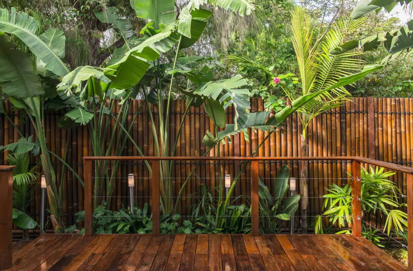 Bamboos and bananas providing a protective canopy and create the feeling of a jungle