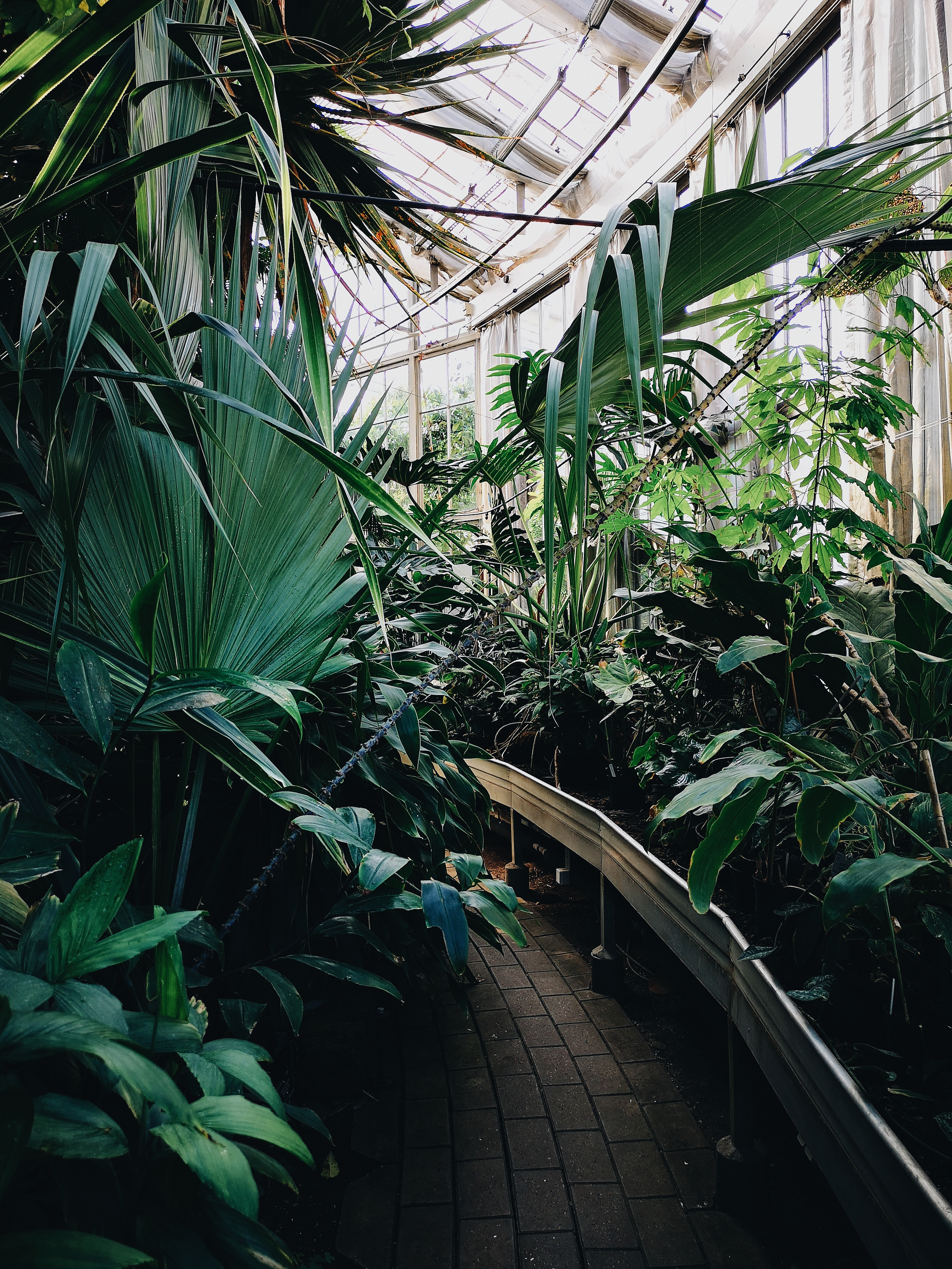 Tropical greenhouse