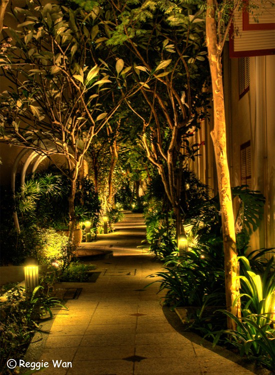 Tropical garden pathway at night with lights
