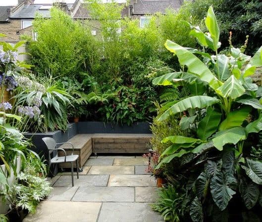 A small garden filled with lush, green plants