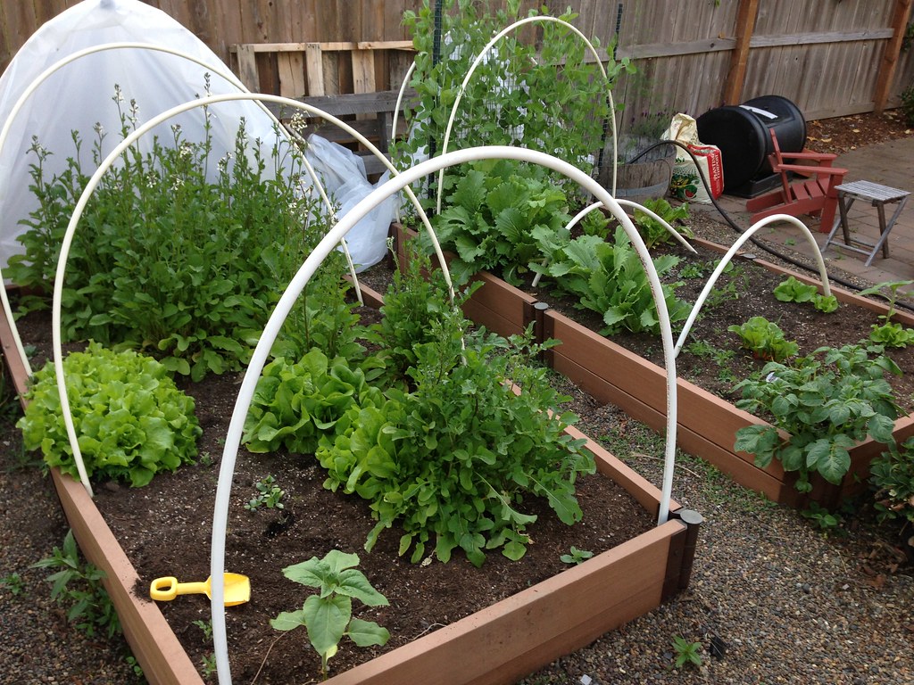 Vegetable garden raised beds with removable covers