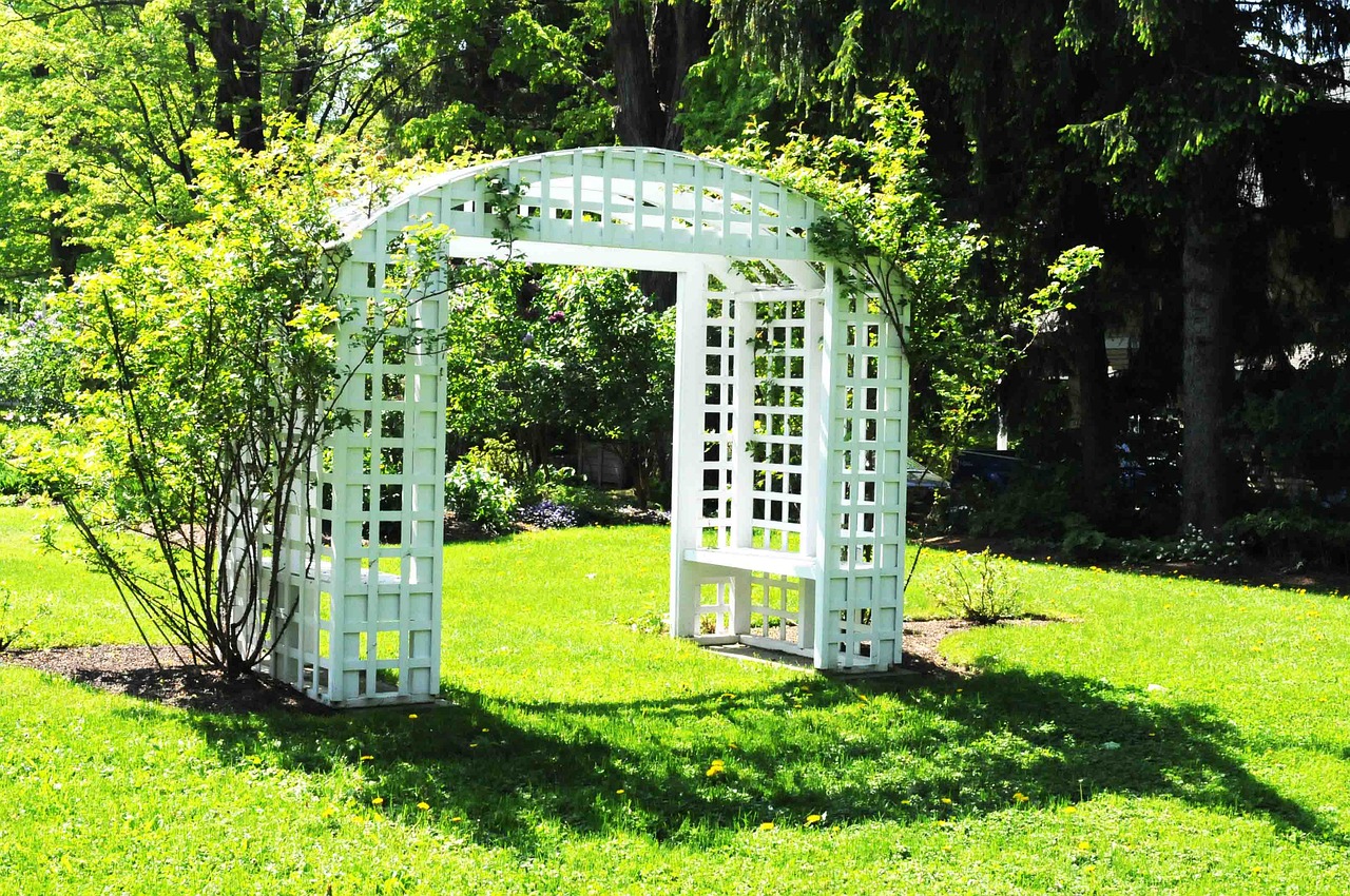 Garden white trellis with lattice design and climbers