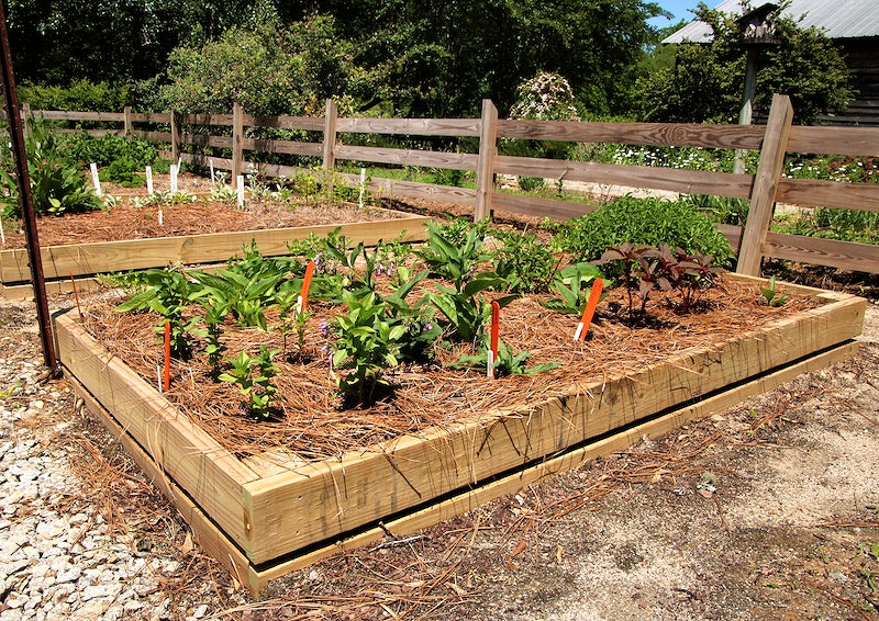 Deer-proofed vegetable garden with fencing