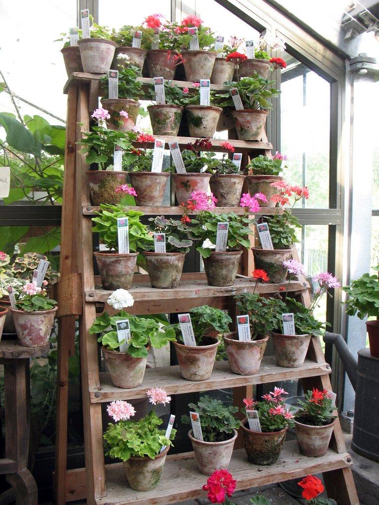 Ladder vertical garden with pot flower display