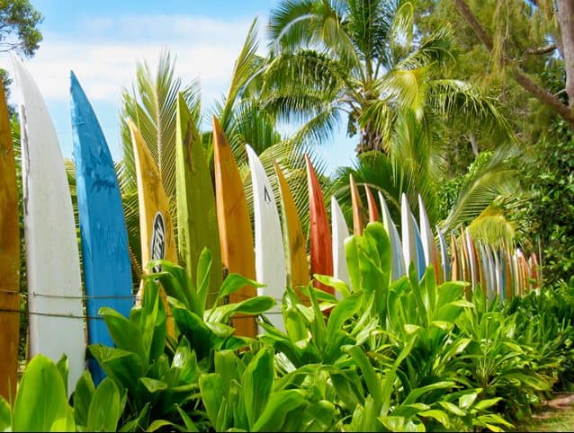 Lined surfboards as a garden fence