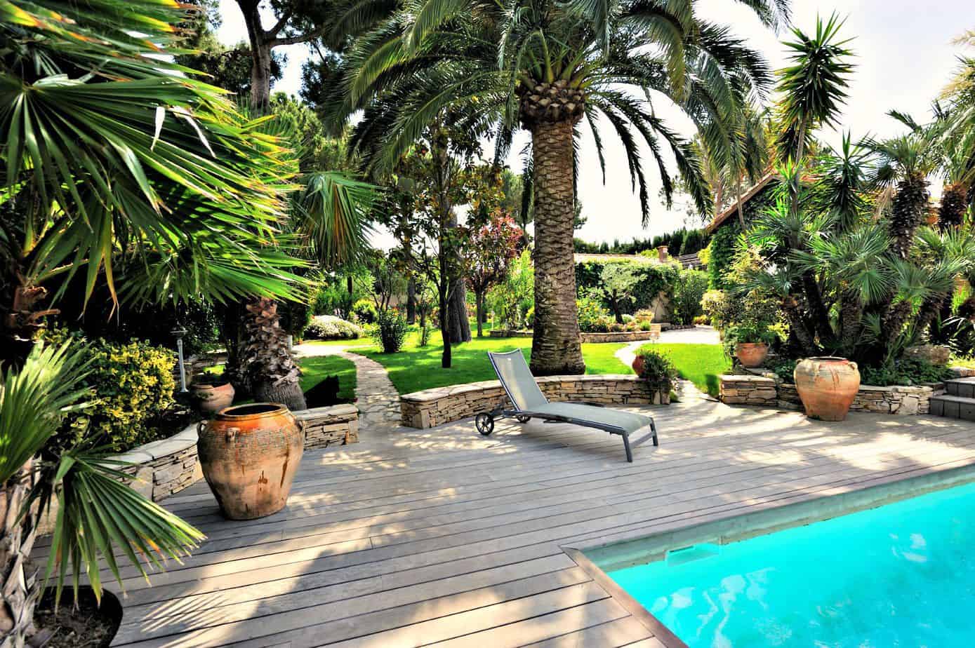 Palm trees near garden sun loungers as a source of shade