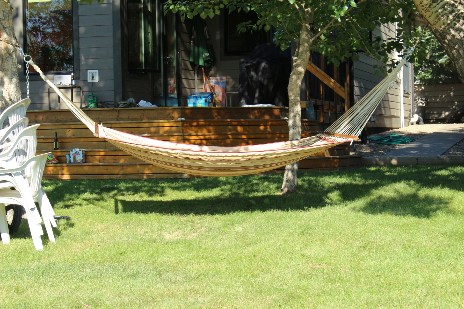 Backyard hammock