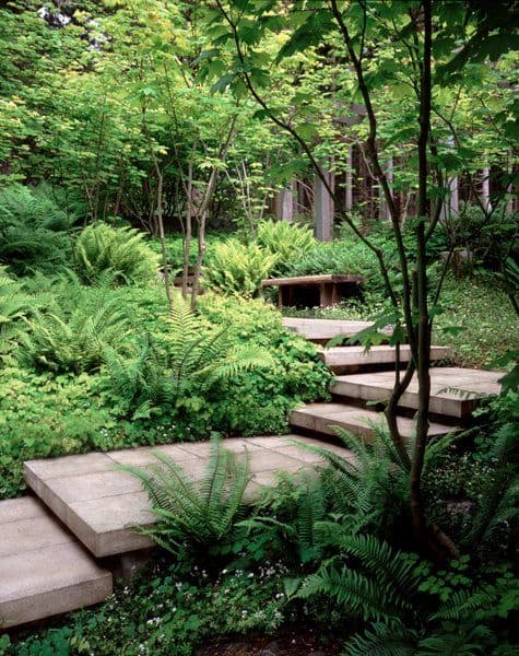 Floating garden wooden stairs