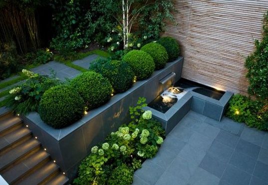 Boxwoods in a two-tiered modern garden space