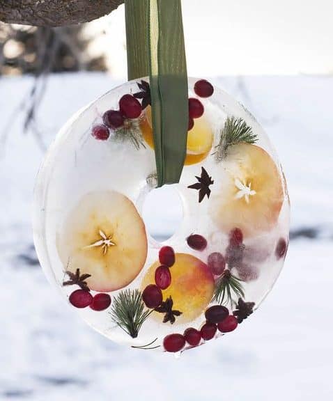 Ice wreath with cranberries, apple slices, and a few evergreen needles