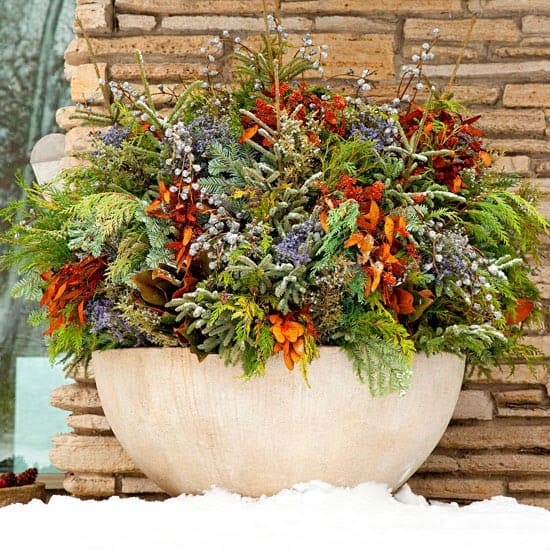 Christmas-inspired container garden with colourful twigs