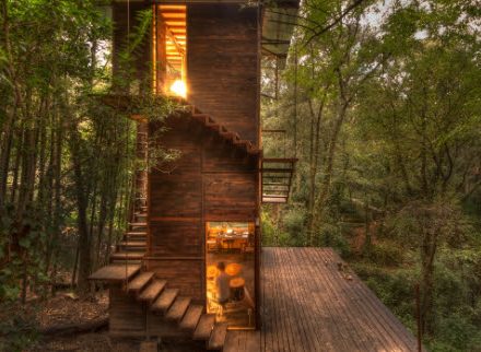 Modern treehouse with wooden deck and stairs