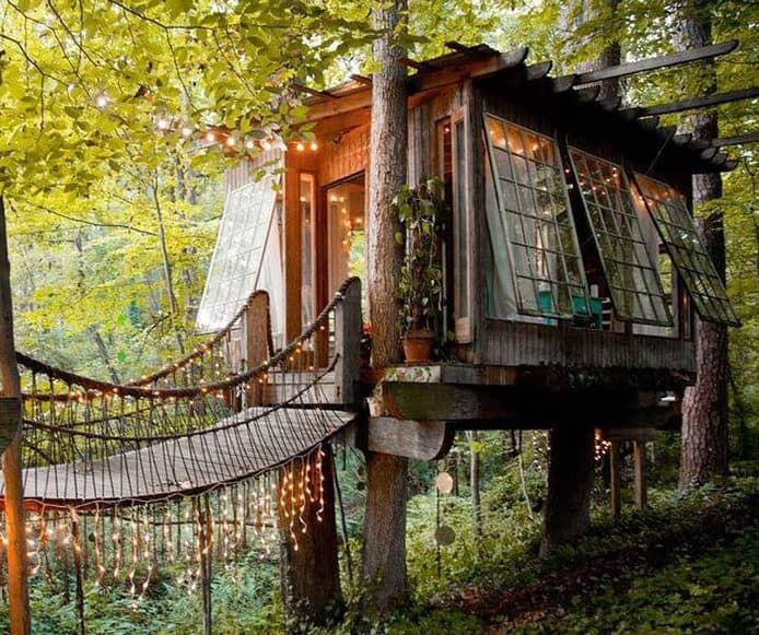 Secluded treehouse with hanging bridge