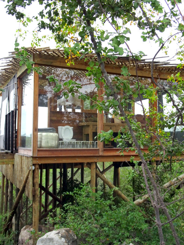 Elevated treehouse with glass walls