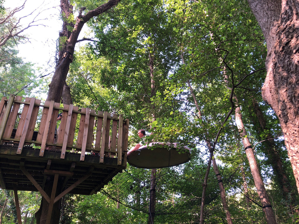 Tree deck with a spider web swing