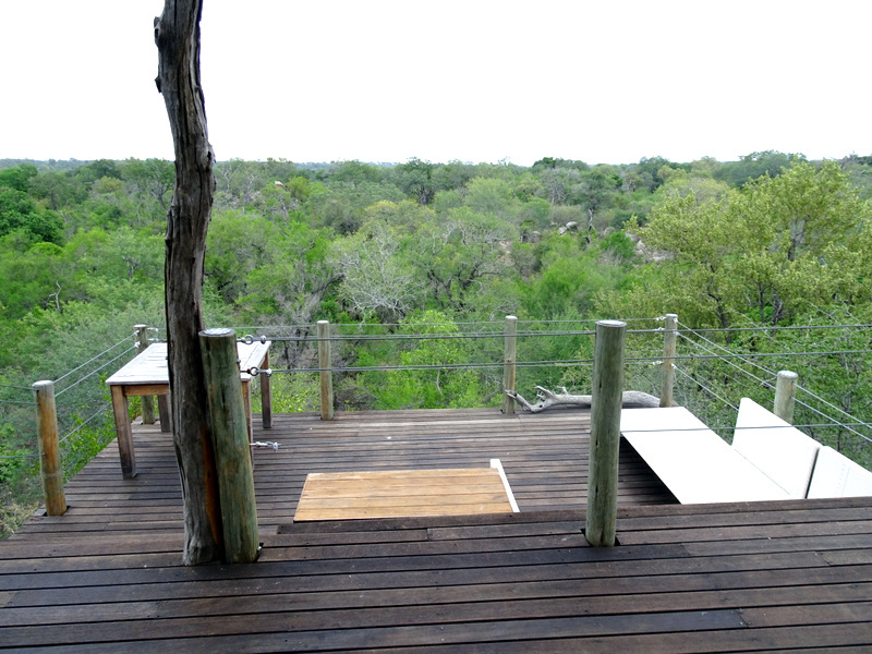 Treehouse deck with a view of the forest