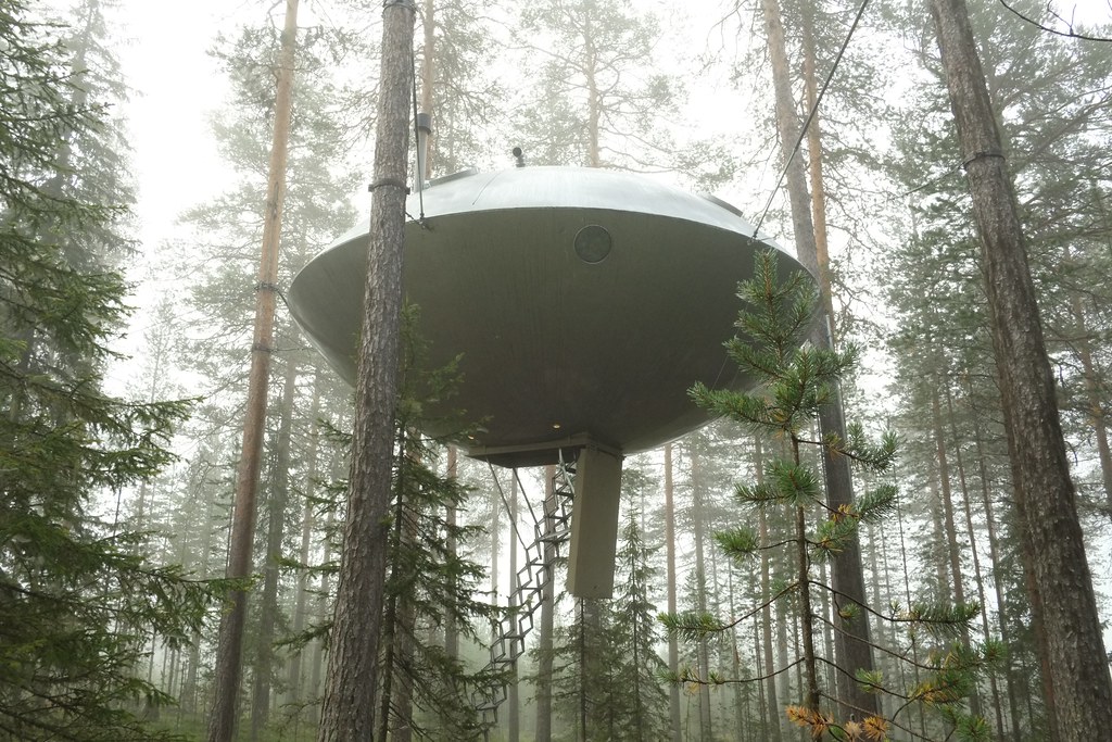 UFO designed treehouse
