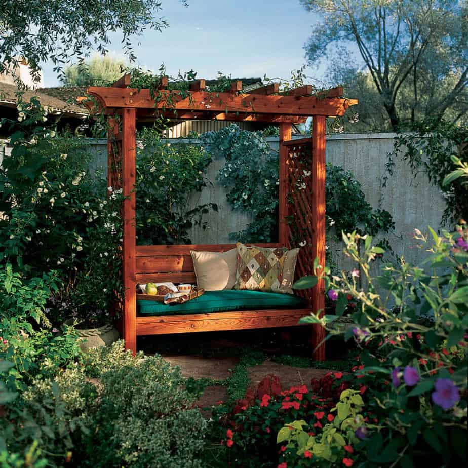 An arbour-covered bench with climbing plants