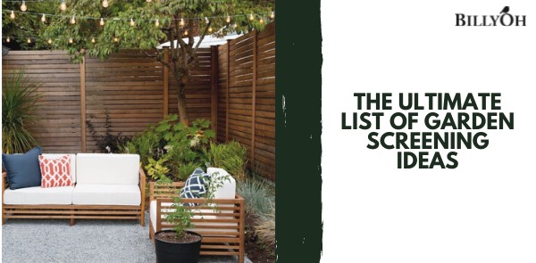 The Ultimate List of Garden Screening Ideas