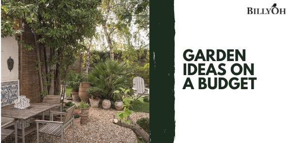 Garden Ideas on a Budget