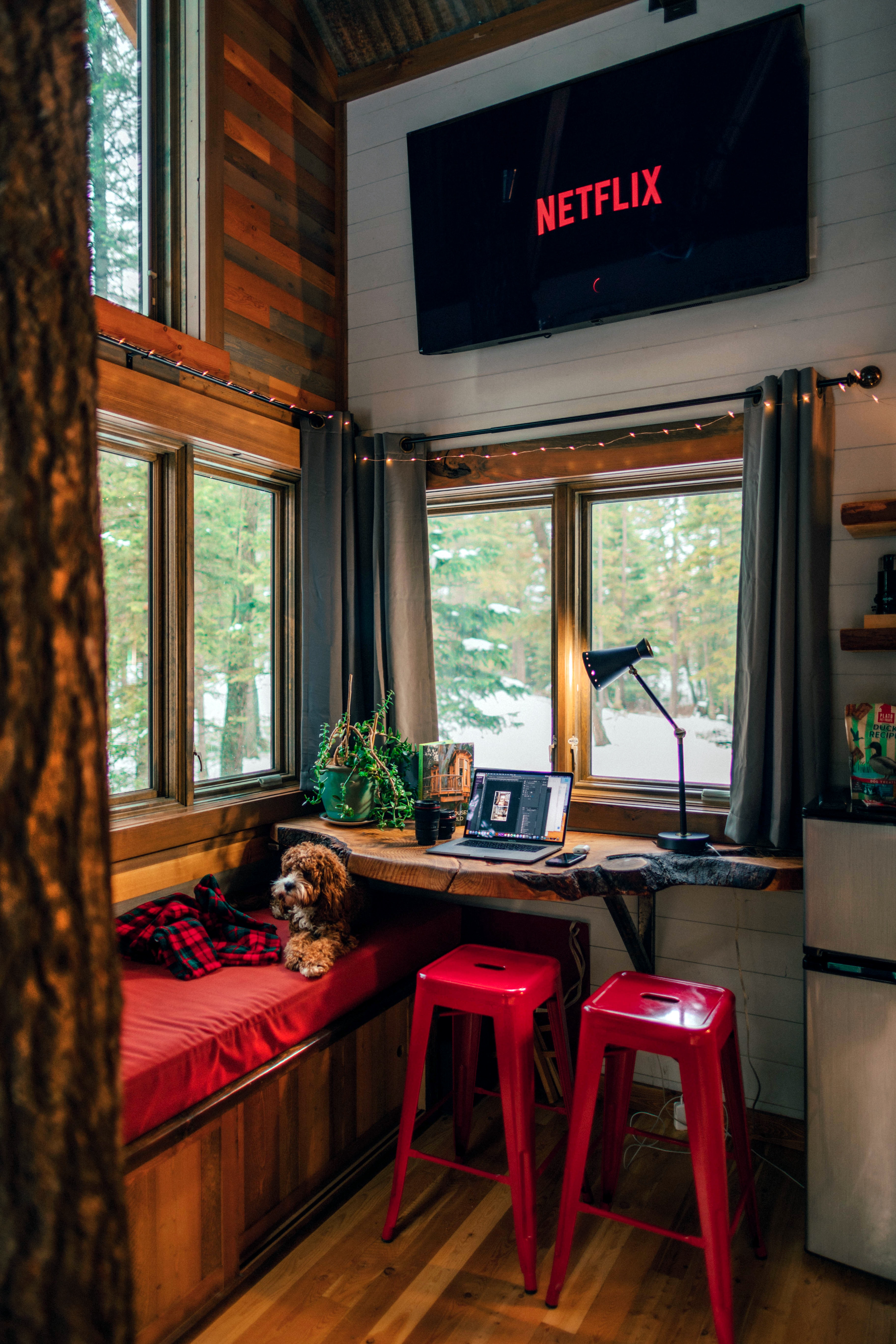 Cabin corner workspace with TV and reading nook