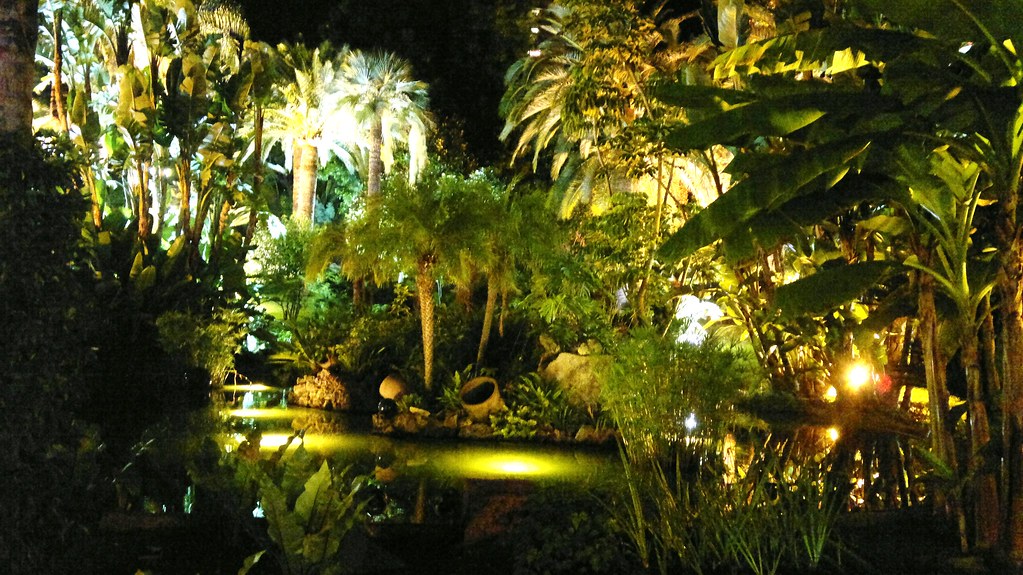 Tropical garden with a pond at night
