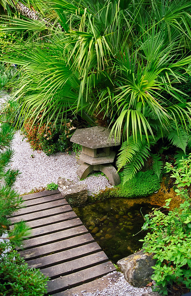 Coast-inspired side garden with a mini pond