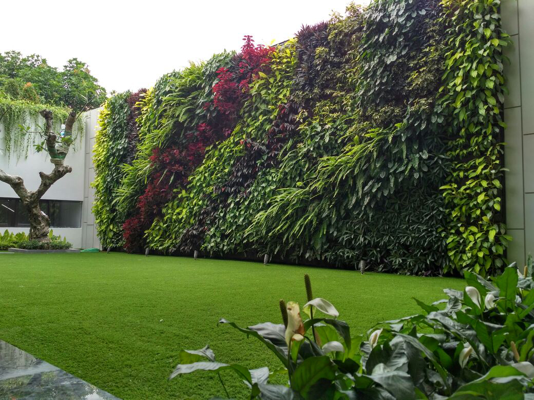 Living garden wall featuring a variety of colourful plants
