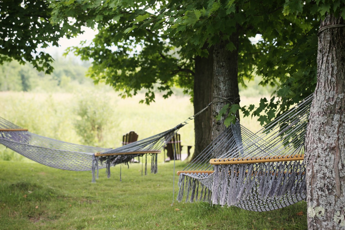 Two hammocks set on the trees