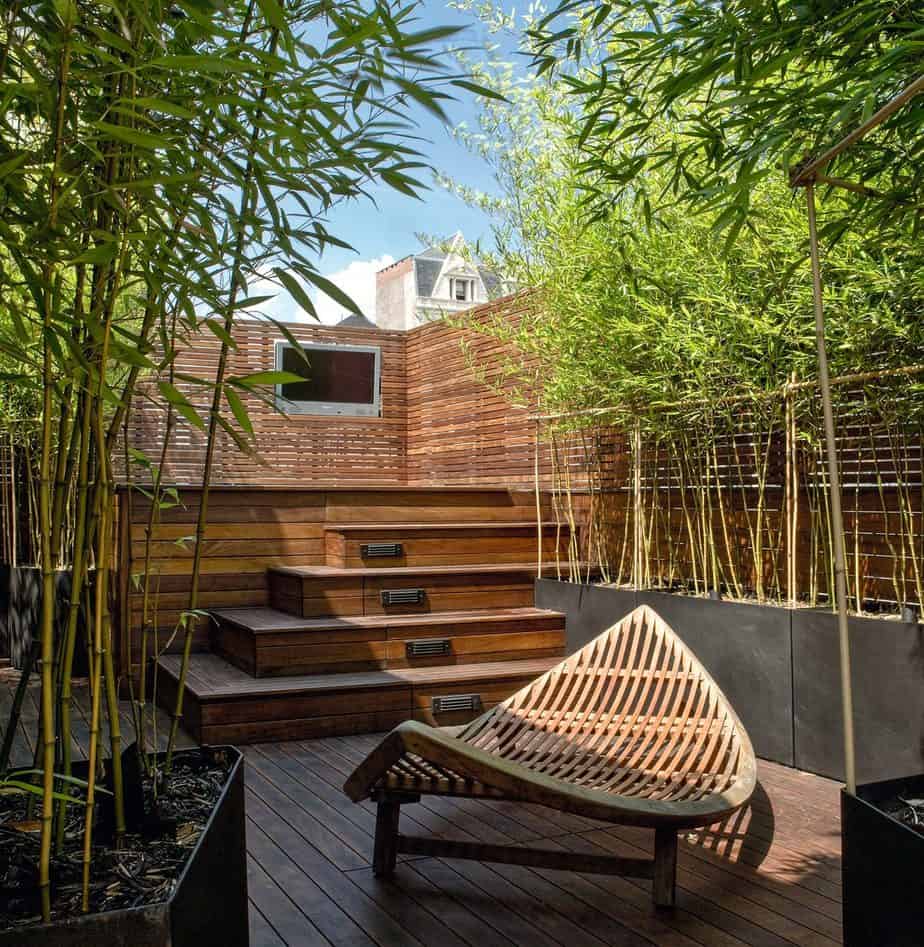 Rooftop terrace garden with bamboo in the corners and shrubs on the walls