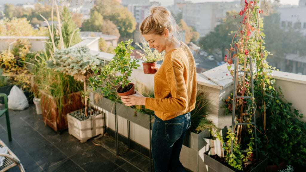A rooftop turned into an urban garden oasis