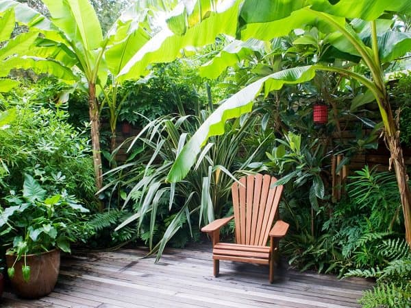 Tropical theme terrace garden
