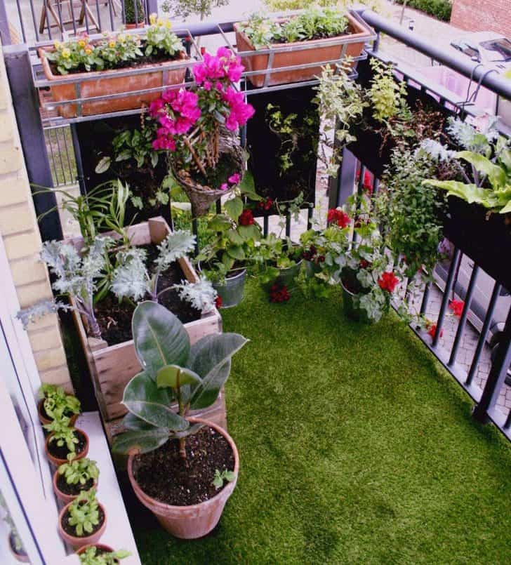 A small balcony garden with hanging wooden crates and edible kale
